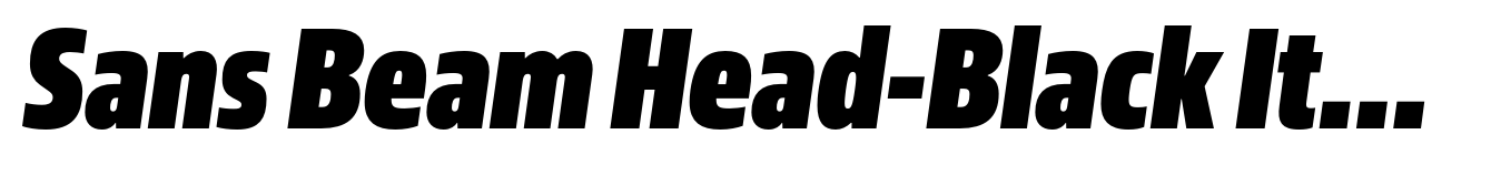 Sans Beam Head-Black Italic